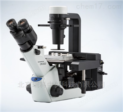 OLYMPUS光学显微镜* 奥林巴斯CKX53