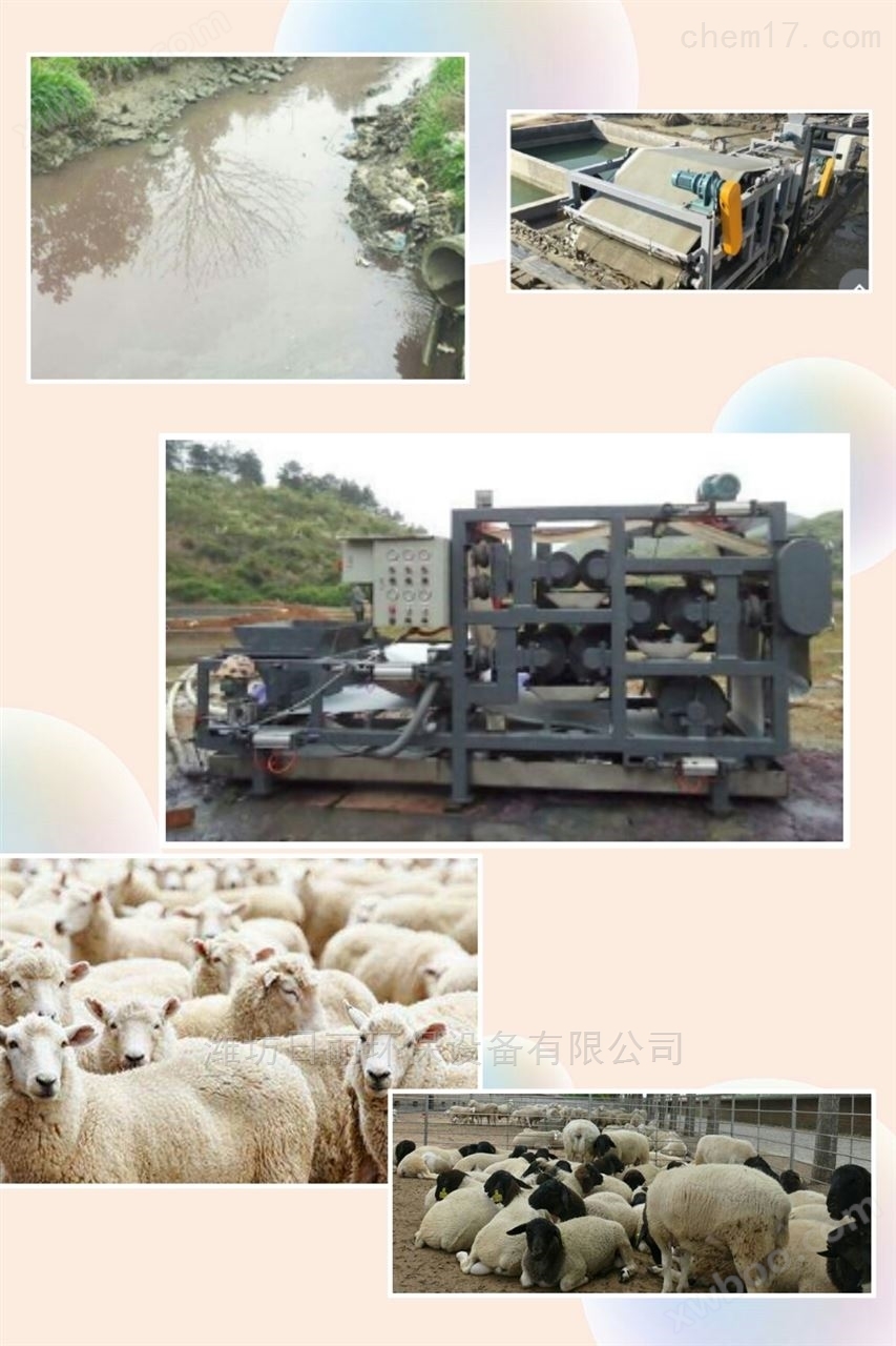 甘肃省畜牧业污泥脱水装置RL带式压滤机