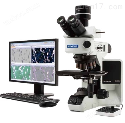 微分干涉显微镜