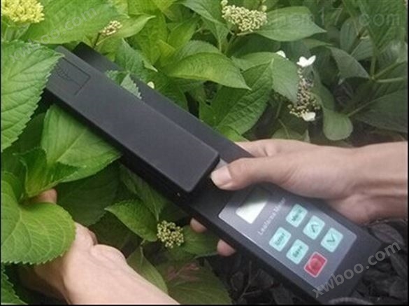 植物叶面测量仪LAM-A叶面积测定仪