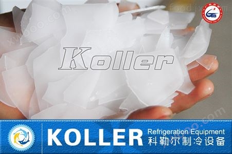 科勒尔片冰机KP100 日产量10吨 速冻设备