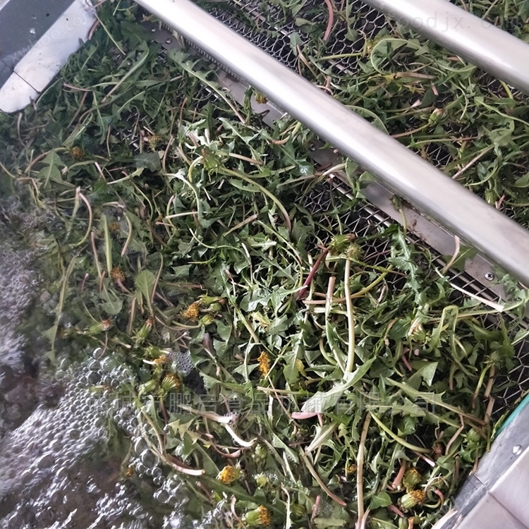 鱼腥草自动提升清洗机果蔬清洁机