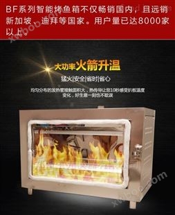 济南快乐的鱼使用的烤箱  智能电烤鱼炉价格