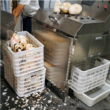 DY-2800果蔬蔬菜土豆芋头大型清洗去皮机，德盈机械