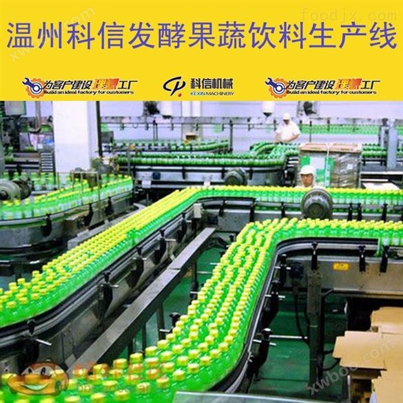 全自动发酵果蔬汁饮料加工设备厂家