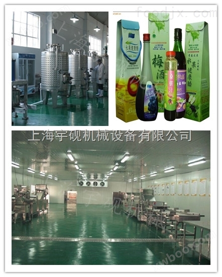 苹果酒、果醋饮品生产线 果蔬汁饮料生产线