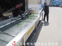 安徽连续式蔬菜清洗机