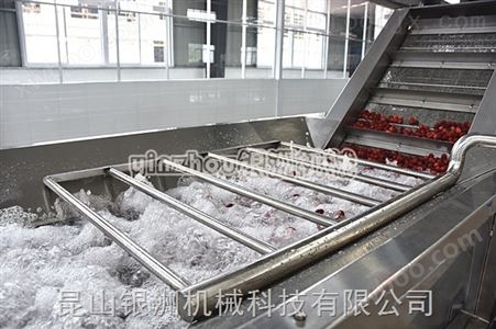 杨梅汁生产线 果蔬汁饮料生产线