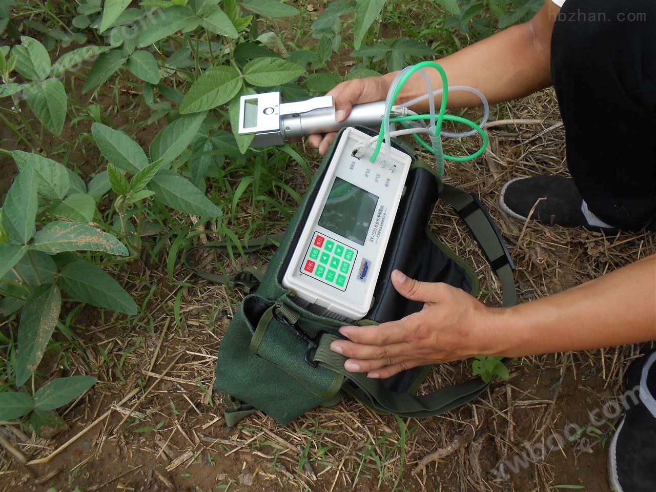 SY-1020光合速率测定仪 植物生理生态仪器