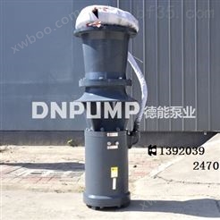 浮筒泵-中吸式潜水轴流泵