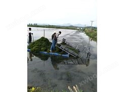 北京割草船供应