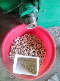 切粉条机效率高 可生产加工河粉