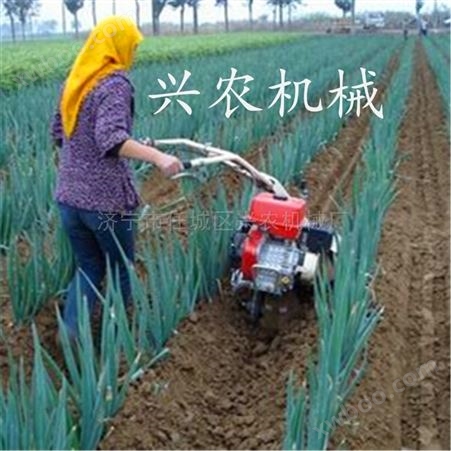 XNJX-KGJ大葱开沟培土机 草莓种植起垄机