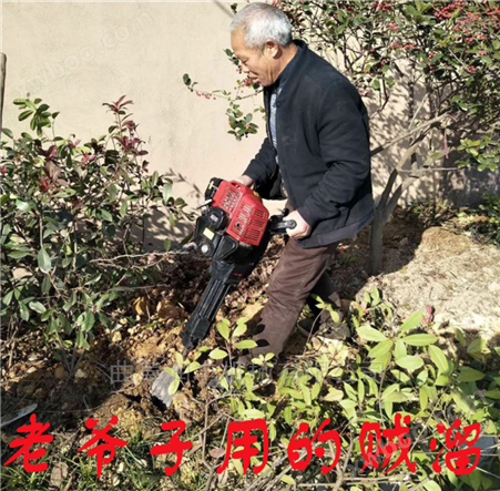 怀集县果树移栽机 汽油挖树机工作视频