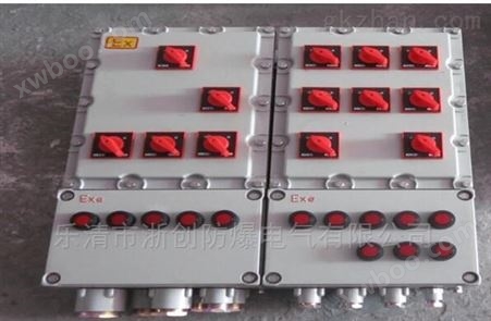 BDG58-10回路防爆动力配电箱带电磁起动