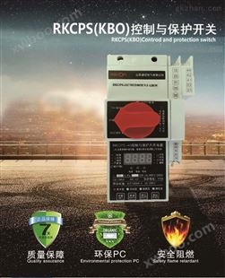 RKCPS-45C山东睿控RKCPS-45C控制与保护开关