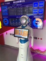 供应上海阿联酋博物馆迎宾导览机器人