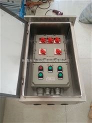 户外防雨防尘防爆照明配电箱 （BXMD8050-5）
