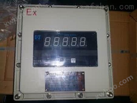BYB-B电压测量防爆仪表箱