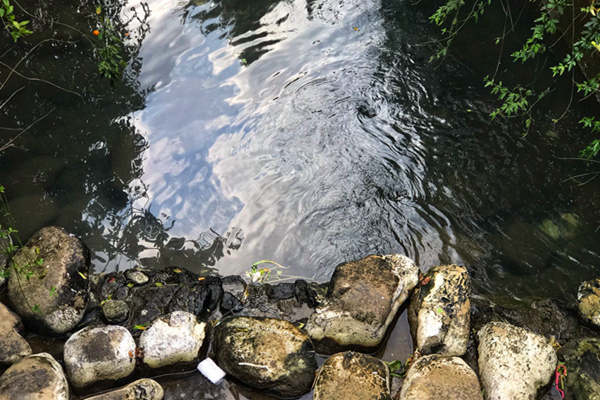 亳州市“查、测、溯、治”全链条管理，把好入河排污口“总阀门”