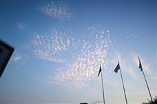 京东、蔚来......新能源汽车领域企业发展动态