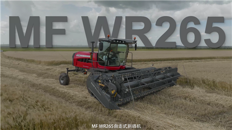 2023年新款麦赛福格森自走式割草压扁机MF WR265