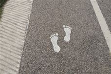 走进丙烯产业链下游交流会在陕西省第四届聚烯烃产业大会期间成功召开