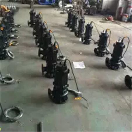 污水提升装置 50WQ25-10-1.5 流量：25M3/H,扬程：10M 铸铁材质 自贡众度泵业